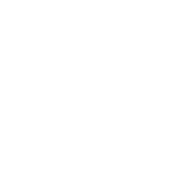 FSimStudios logo